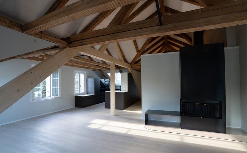 Appartement moderne de 3 ½ pièces en excellent emplacement à Brunnen SZ (3)