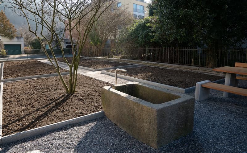 Appartement 4 ½ pièces dans un excellent emplacement à Brunnen SZ (10)