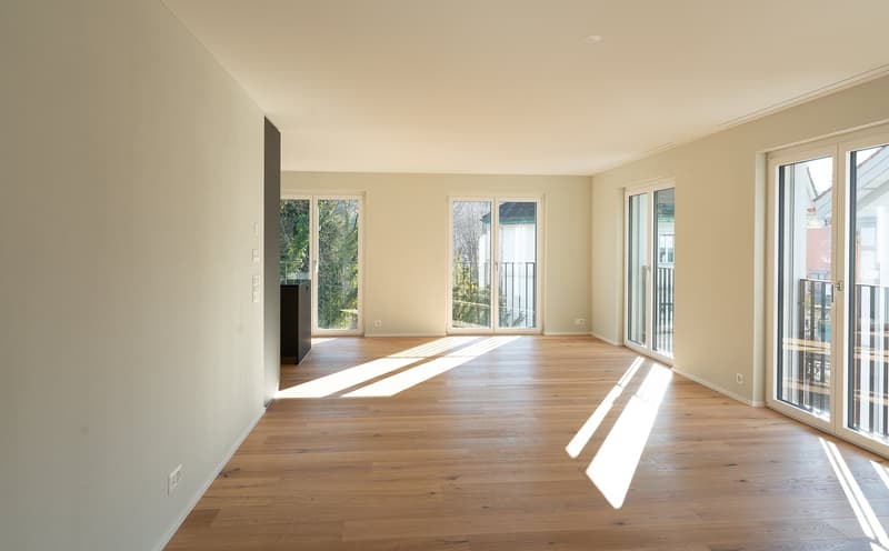 Appartement 4 ½ pièces dans un excellent emplacement à Brunnen SZ (3)