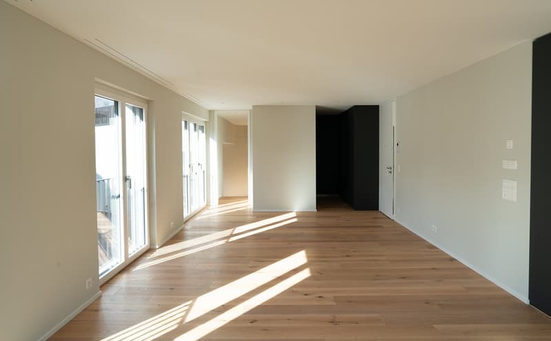 Appartement 4 ½ pièces dans un excellent emplacement à Brunnen SZ (2)