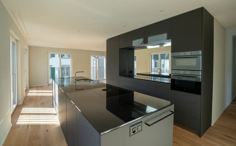 Appartement 4 ½ pièces dans un excellent emplacement à Brunnen SZ (5)