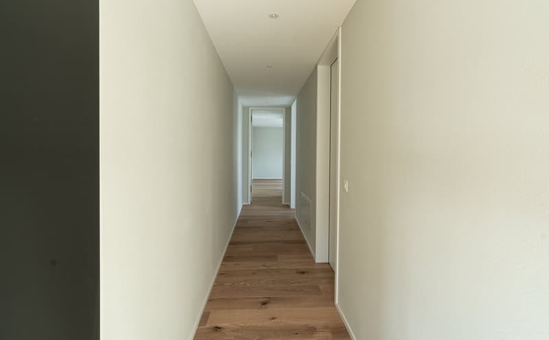 Appartement 4 ½ pièces dans un excellent emplacement à Brunnen SZ (6)