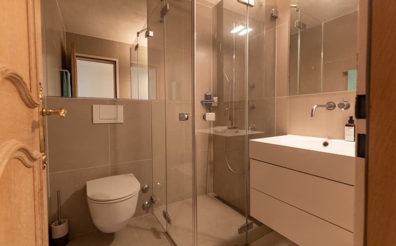 7 ½ Zimmer-Duplex-Attikawohnung mit Hauscharakter in Luzern (12)