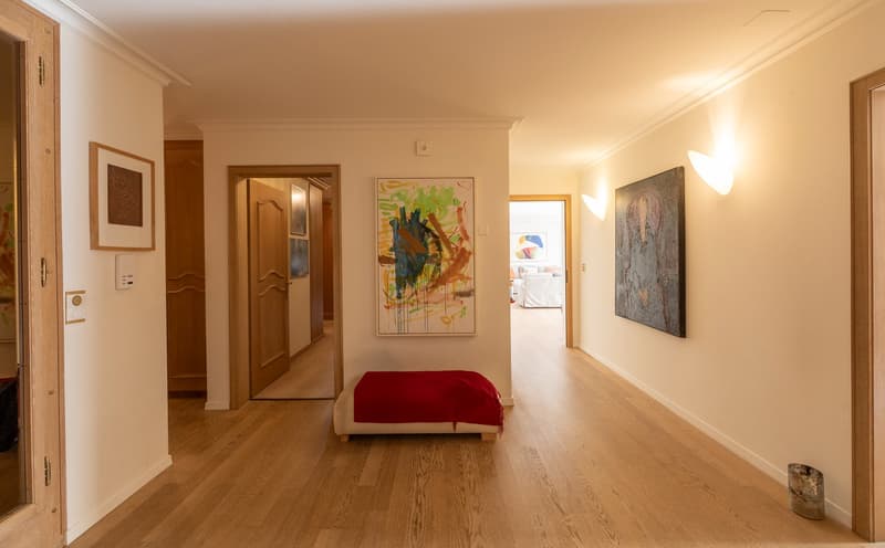 7 ½ Zimmer-Duplex-Attikawohnung mit Hauscharakter in Luzern (2)