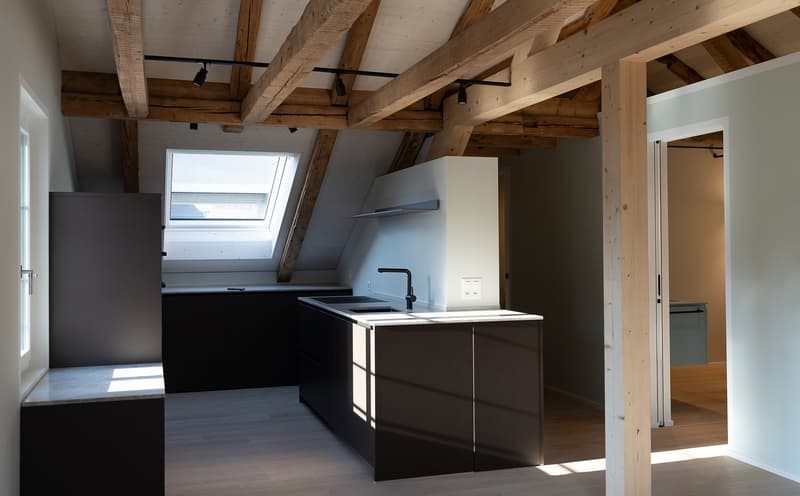 Exklusive 3.5-Zimmer-Dachwohnung im Rosengarten – Historischer Charme trifft modernes Design (4)