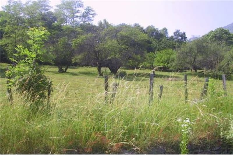 Terreno edificabile in mezzo alla natura (2)