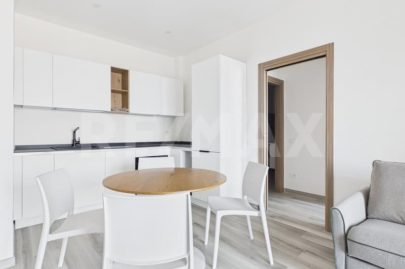 Investimento immobiliare - appartamento di 3 ½ locali ottimo rendimento (Italia) (1)