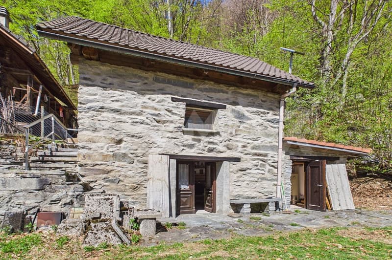 Un rustico autentico per vivere la Valle Maggia (2)