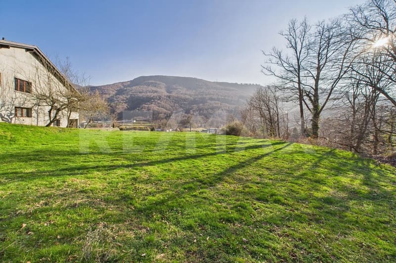 Terreno edificabile a Monteggio Unopportunità unica per il tuo progetto (2)