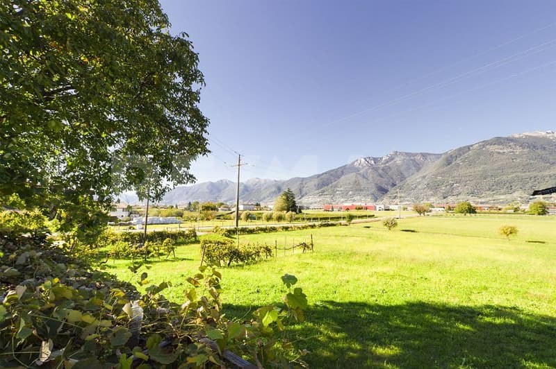 Casa unifamiliare rustica tra i vigneti e la montagna (1)