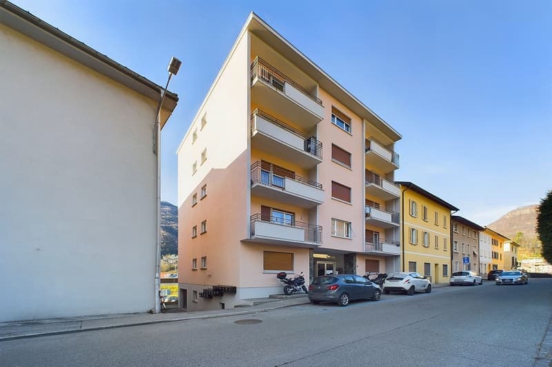 Appartamento di 3,5 locali con bella vista e ottimo rendimento (2)