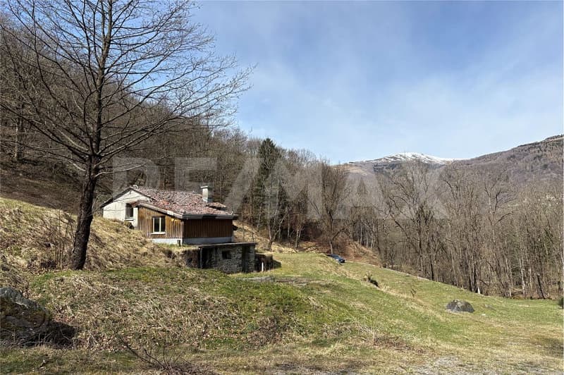 Natura autentica, silenzio e spazio da vivere (1)