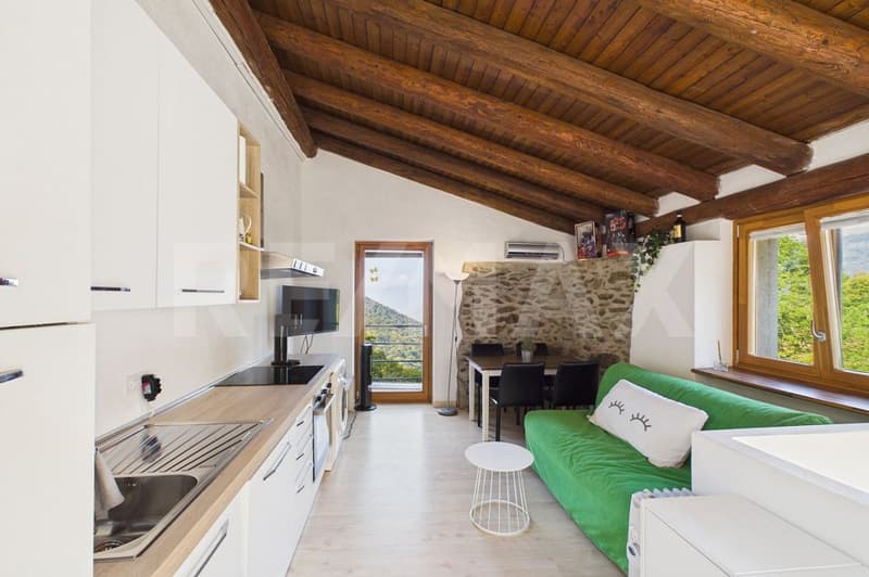 Casa di vacanza in montagna, ideale anche come investimento (1)