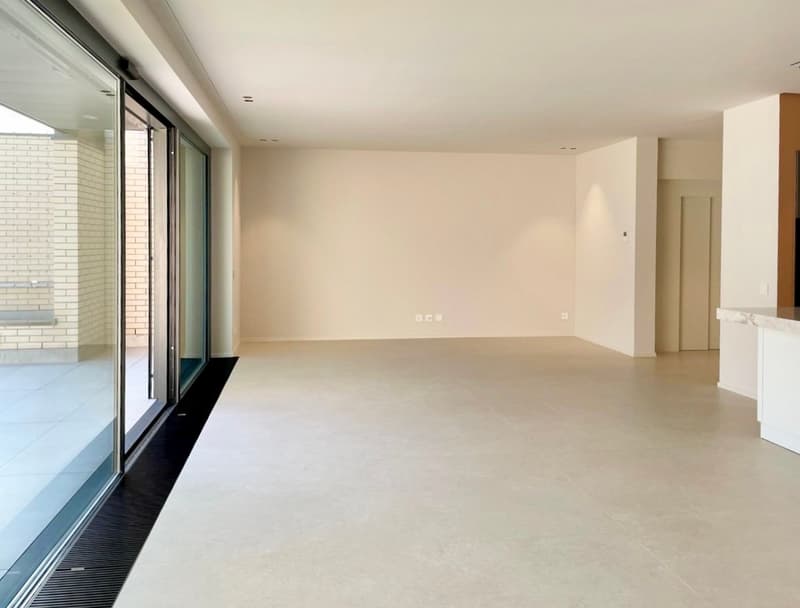 VILLA or DUPLEX APARTMENT CHARMING LAKE VIEW (16)