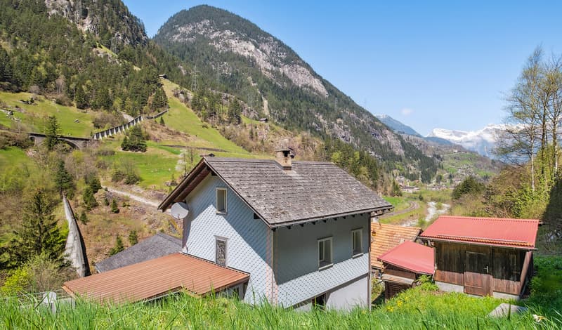 Wohnen in der lieblichen Berggemeinde Gurtnellen (1)