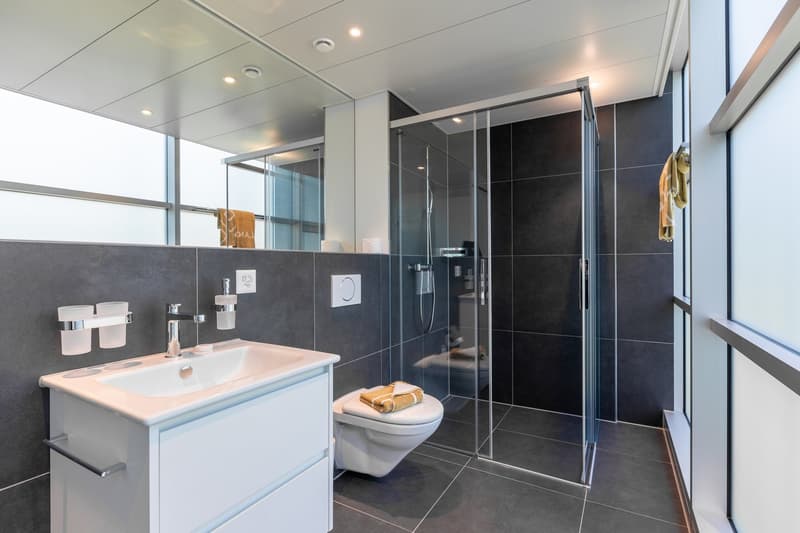 Modern bathroom with dark gray tile walls, white vanity with sink, toilet, and glass-enclosed shower area