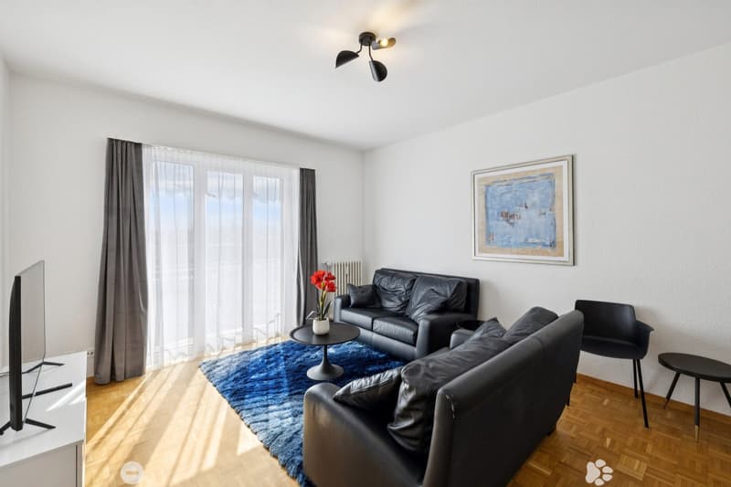 modern apartment, white walls, wooden floor, large window, black leather sofa, coffee table, TV, picture frame, radiator