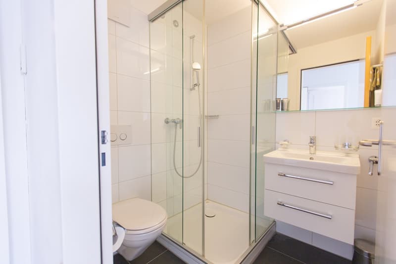 Bathroom with white tiles, shower cubicle, toilet, sink, cabinet, mirror, roll of toilet paper, and toilet paper holder.