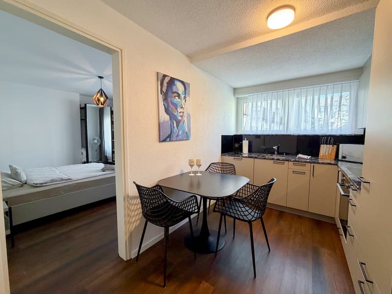 Möblierte 3.5-Zimmer-Apartment mit Balkon in der Innenstadt Zürich (6)