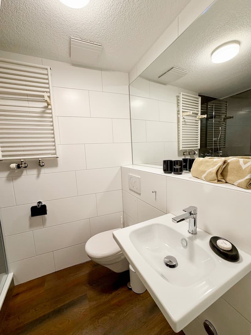 Möblierte 3.5-Zimmer-Apartment mit Balkon in der Innenstadt Zürich (11)