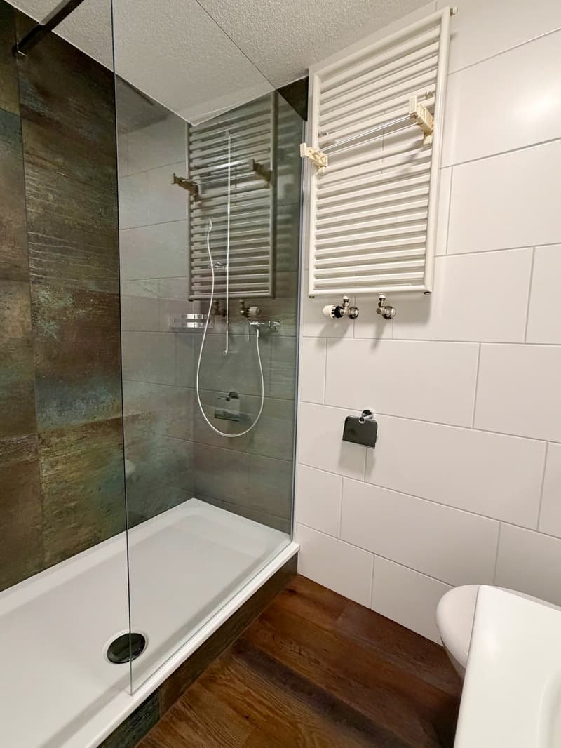 Möblierte 3.5-Zimmer-Apartment mit Balkon in der Innenstadt Zürich (10)