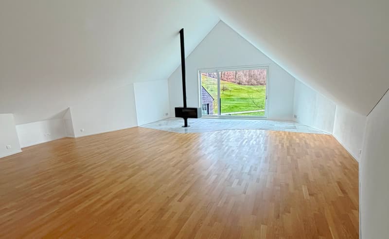 empty room, wooden floor, white walls, glass door, fireplace, view of the outside