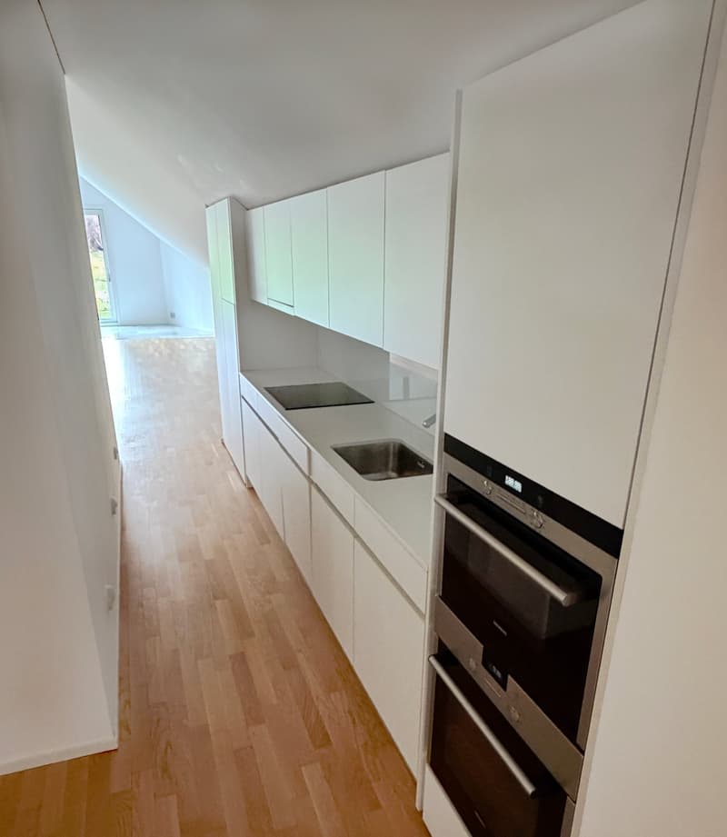modern kitchen with white cabinets, wooden floor, stainless steel sink, built-in oven, dishwasher