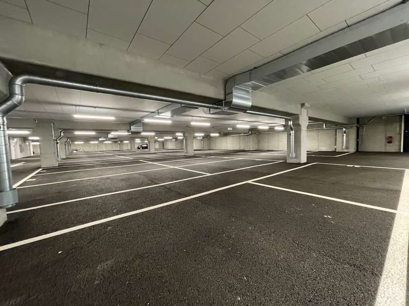 Moderni spazi in nuovo capannone (9)