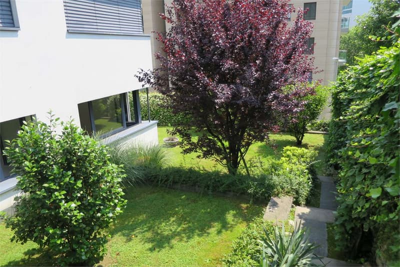 Particolare appartamento con giardino (13)