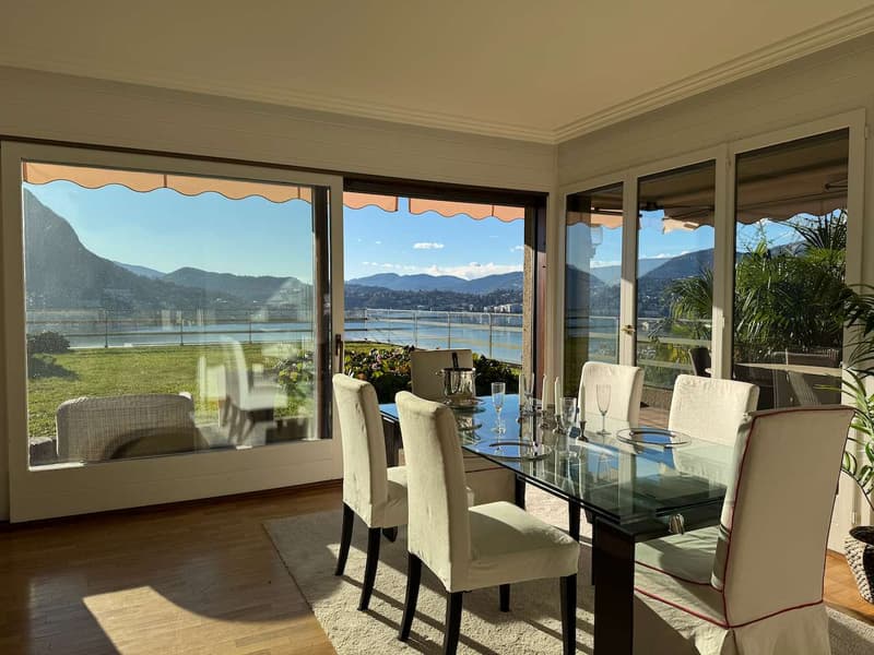 Appartamento vista lago con giardino (1)