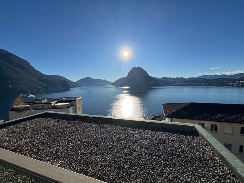 Appartamento vista lago con giardino (11)