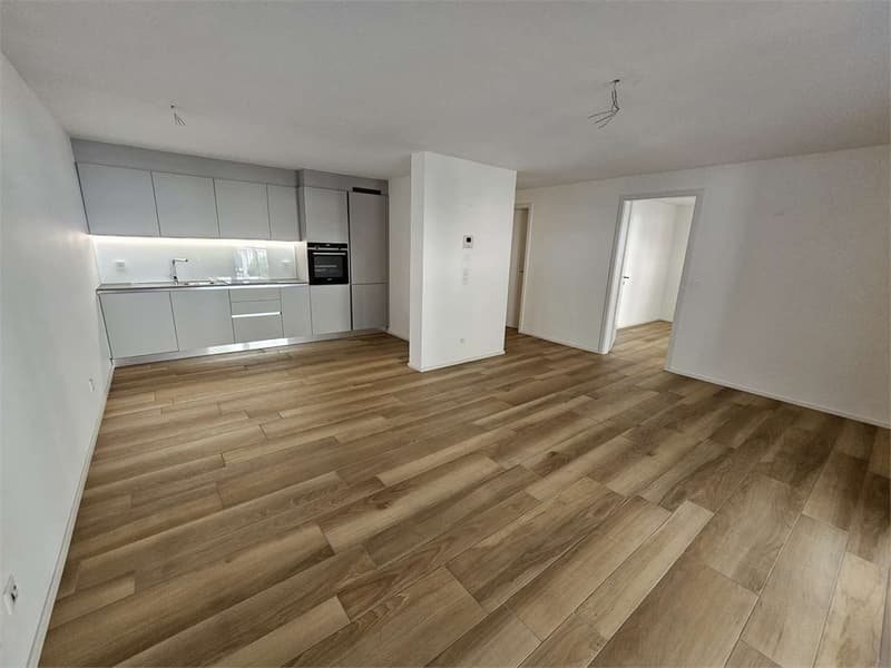 Gudo, appartamento 2.5 locali con terrazzo (4)