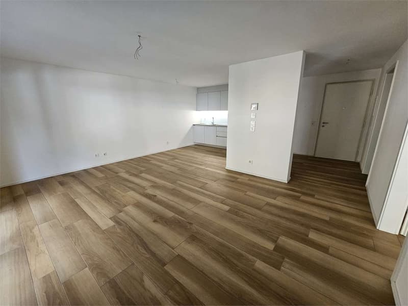 Gudo, appartamento 2.5 locali con terrazzo (3)