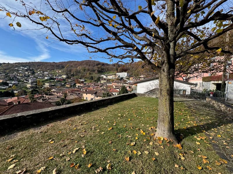 Ampia casa di nucleo (12)