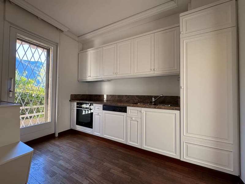 Holiday apartment with lake view and garden (7)
