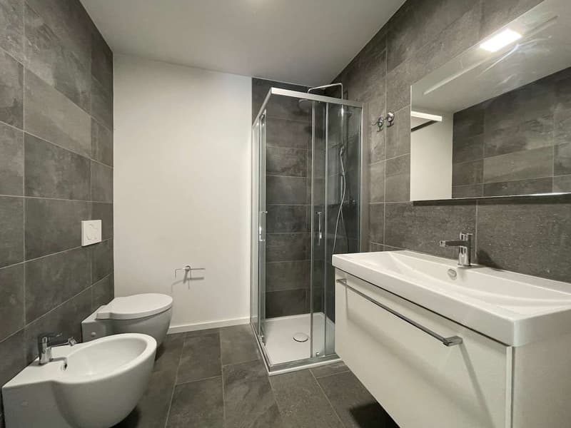 Vacallo, affitto 3.5 locali con terrazzo (9)