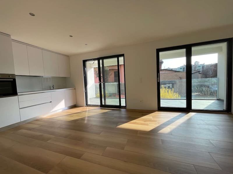 Vacallo, affitto 3.5 locali con terrazzo (5)