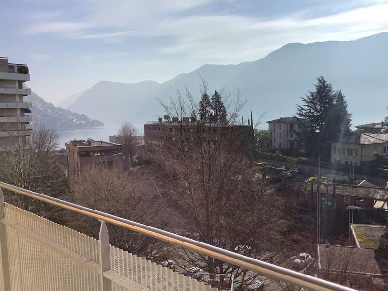 Affitto 3.5 locali ristrutturato arredato (9)