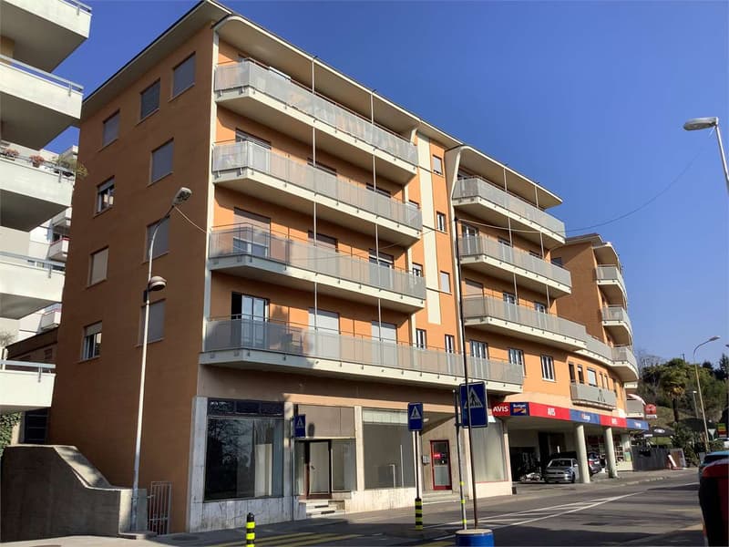 Affitto 3.5 locali ristrutturato arredato (13)