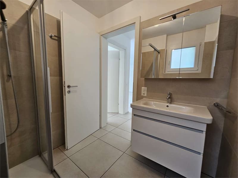 Iragna, affitto 2.5 locali piano terra con giardino privato (9)
