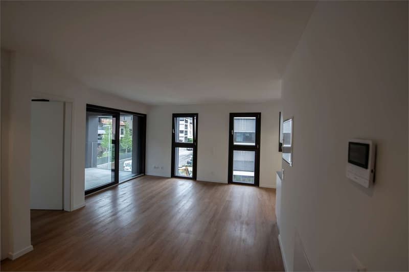 Mendrisio, affitto appartamento 4.5 loc. con giardino (3)