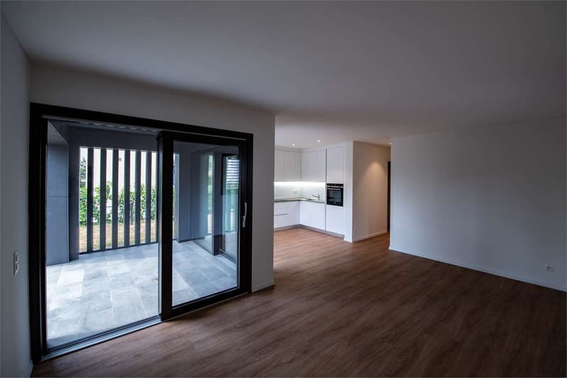 Mendrisio, affitto appartamento 4.5 loc. con giardino (2)