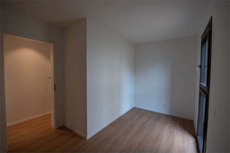 Mendrisio, affitto appartamento 4.5 loc. con giardino (6)