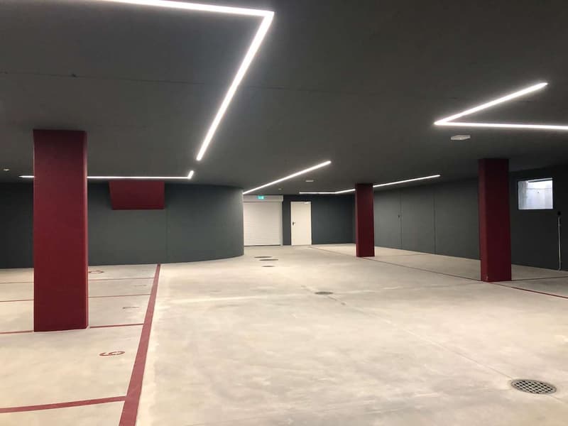Mendrisio, affitto appartamento 4.5 loc. con giardino (9)