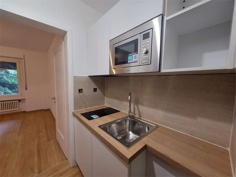 Lugano, affitto 1.5 locali (5)