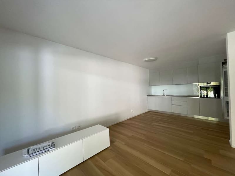 Gudo, appartamento 2.5 locali con terrazzo (2)