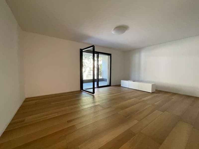Gudo, appartamento 2.5 locali con terrazzo (3)