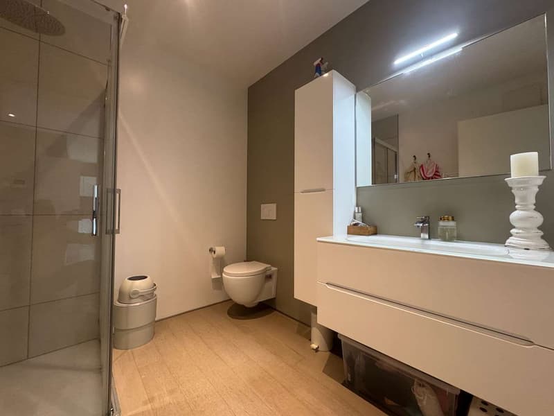 Gradevole appartamento in ottima zona (6)