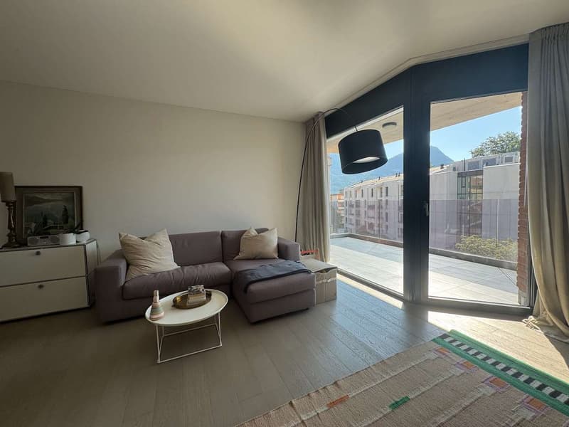 Gradevole appartamento in ottima zona (4)