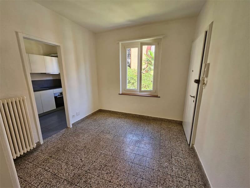 Lugano, grazioso 2.5 locali con balcone (7)